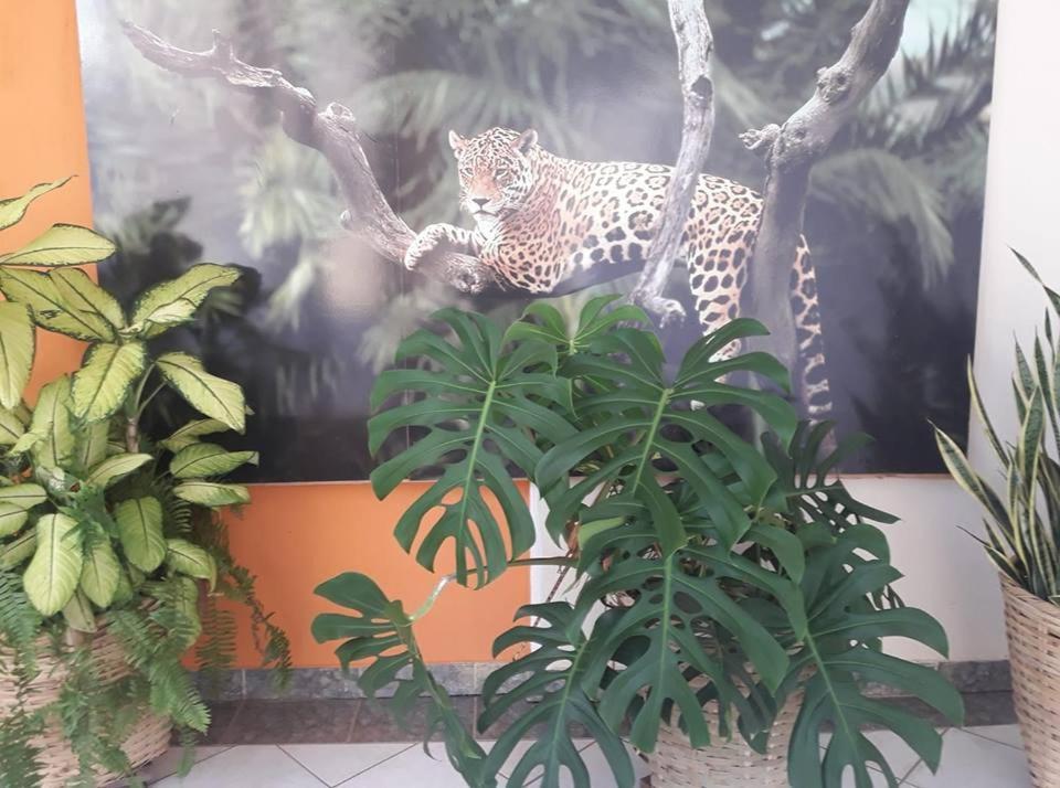 Hotel Pousada And Safari Cuiabá Esterno foto